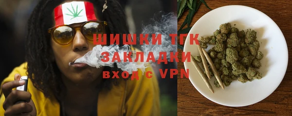 МДПВ Абаза