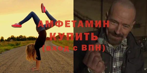стаф Алексин