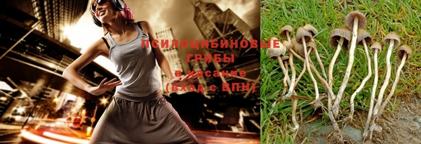 стаф Алексин