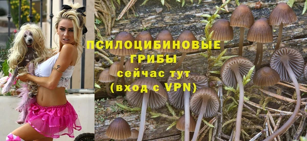 дживик Алзамай