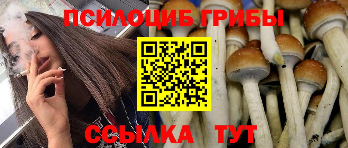 Галлюциногенные грибы Magic Shrooms  Вход с VPN  Златоуст  Галлюциногенные грибы мухоморы 